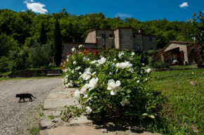 Отель Agriturismo Azienda Agricola Il Pozzo  Каполона